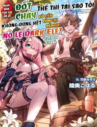 ie-ga-moete-jinsei-dou-demo-yoku-natta-kara-nokotta-nakenashi-no-kin-de-dark-elf-no-dorei-o-katta-10454.jpg