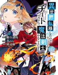 isekai-cheat-magic-swordsman-10317.jpg